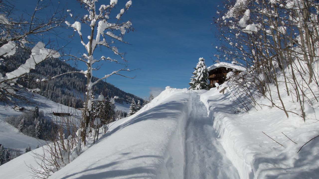 Auf dem mittleren Höhenweg nach Alpbach Auf dem mittleren Höhenweg nach Alpbach